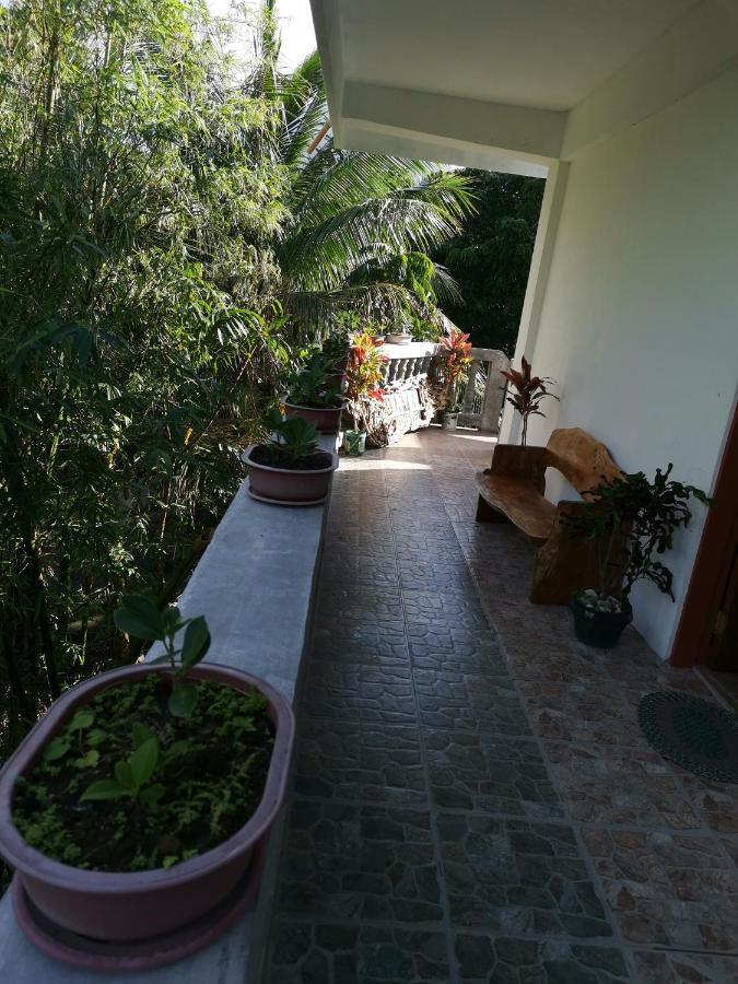 Anvel Homestay باسكو المظهر الخارجي الصورة
